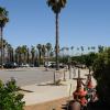 DSC_7345_1024x680