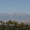 DSC_7381_1024x680