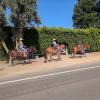 Orange Acres parade C