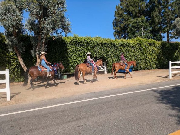 Orange Acres parade C