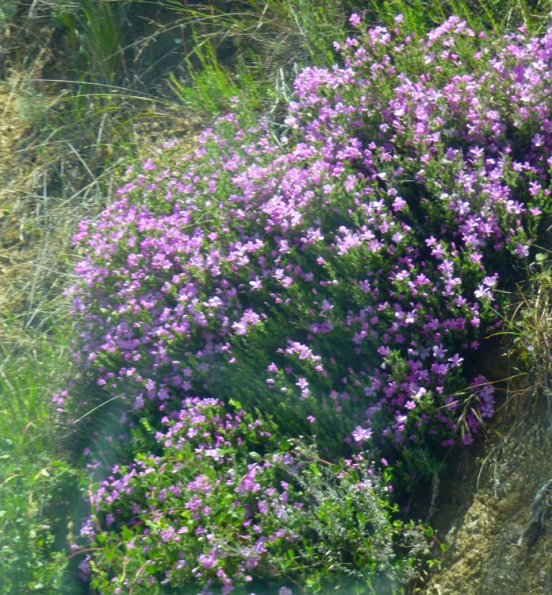 P1220962