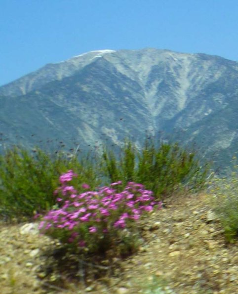 P1220975