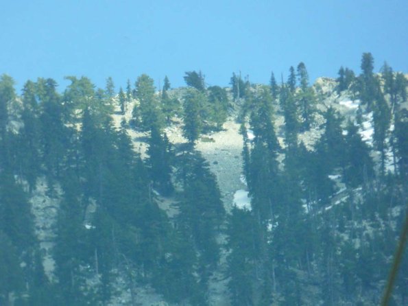 P1220998