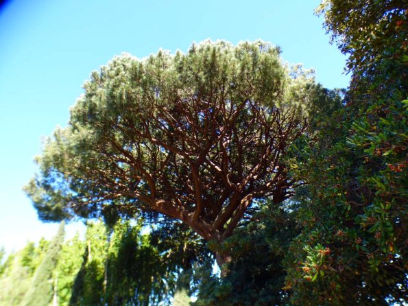 P1240522